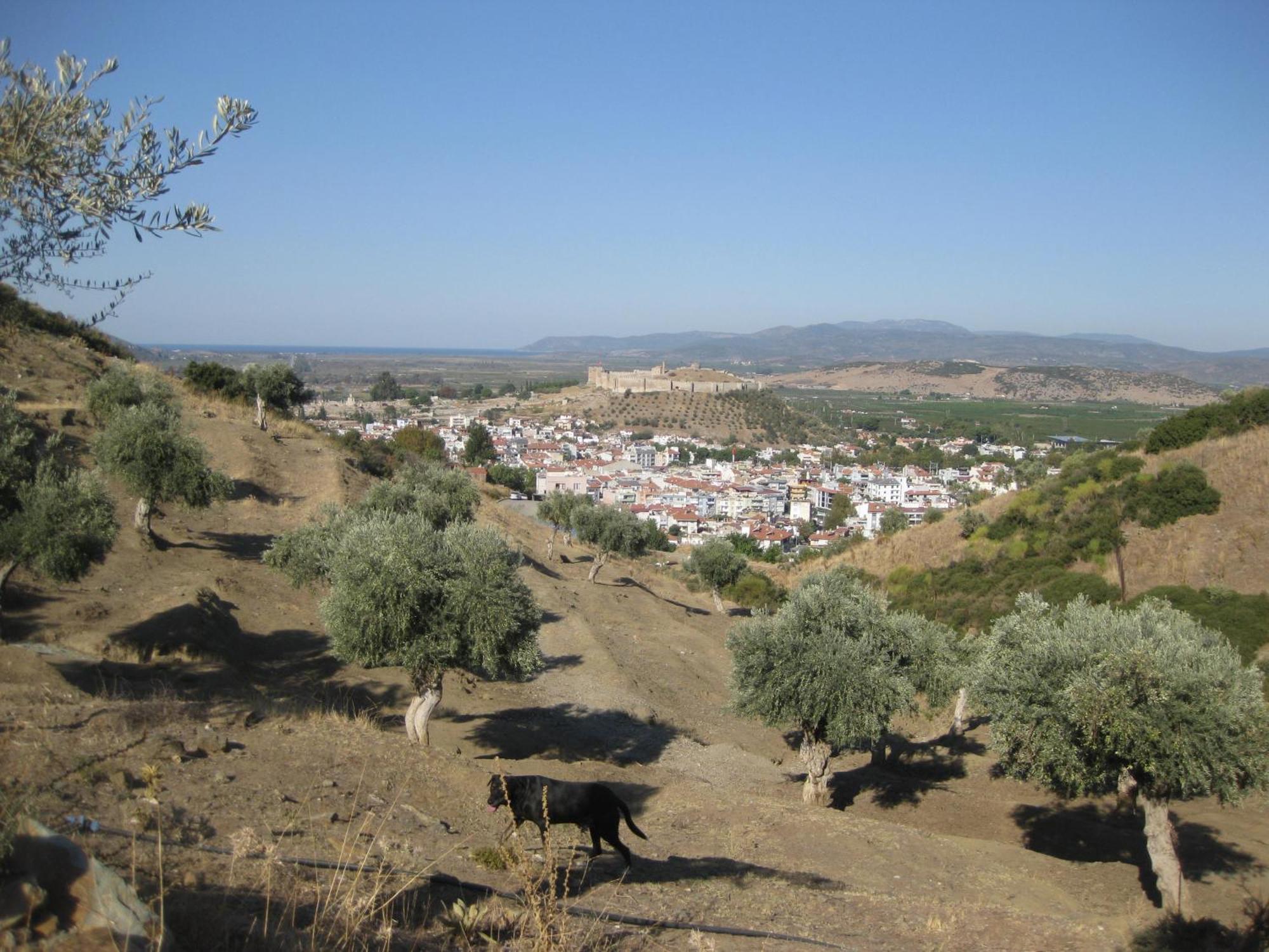 Villa Manzara Selcuk Exterior photo